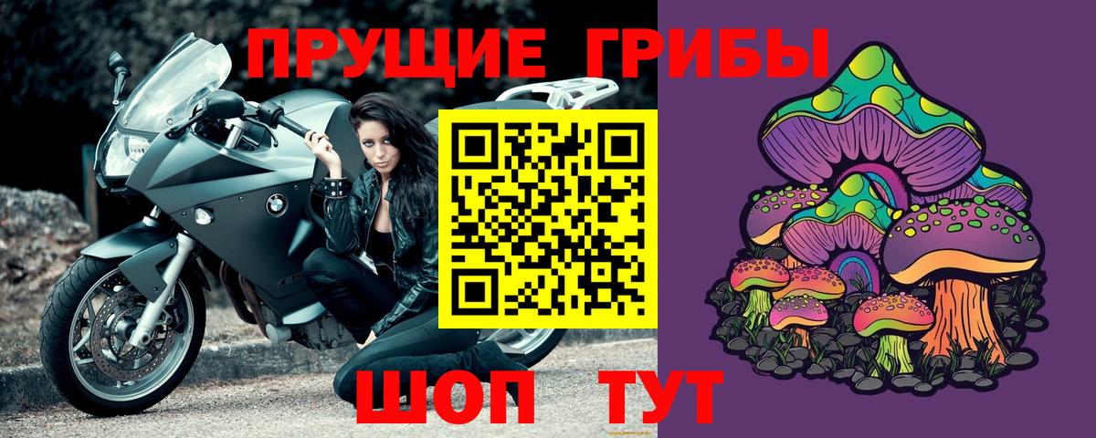 Кингисепп  купить   Вход с VPN  Псилоцибиновые грибы ЛСД 