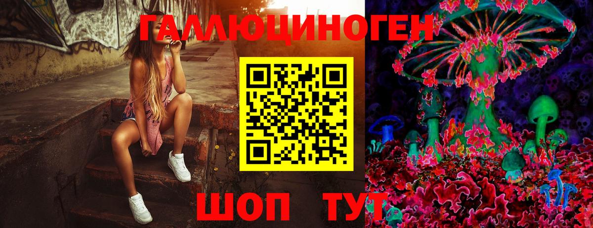 Псилоцибиновые грибы мицелий Кингисепп